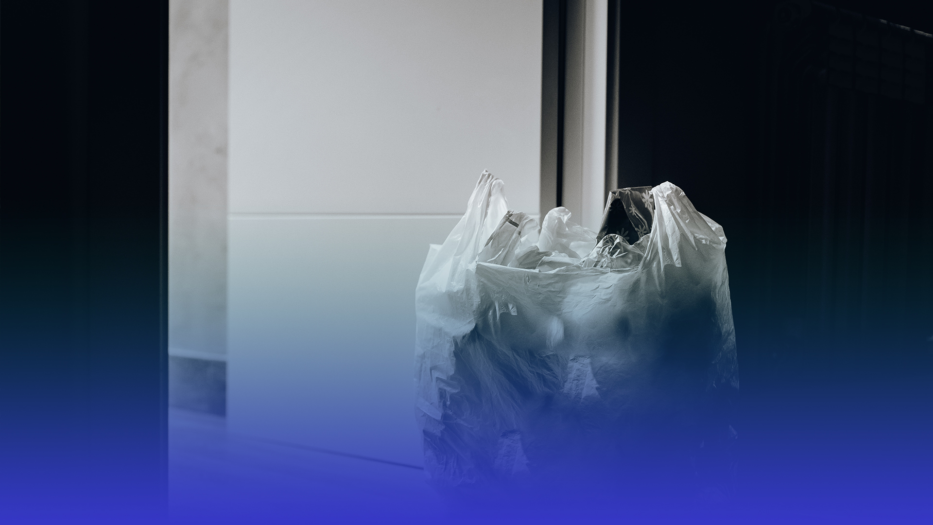 Життя без пластику: у тернопільських магазинах припинять продавати тонкі поліетиленові пакети