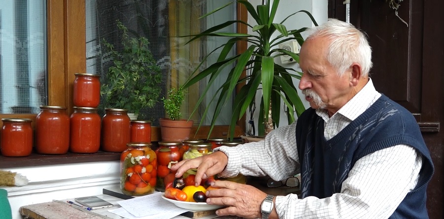 Тернополянин вирощує десятки сортів помідорів для консервацій