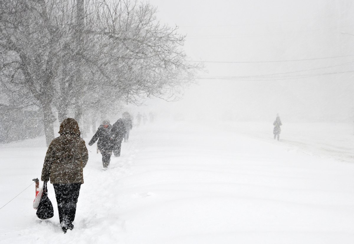 Очікується хуртовина: про зміну погодніх умов попереджають рятувальники Тернопілля