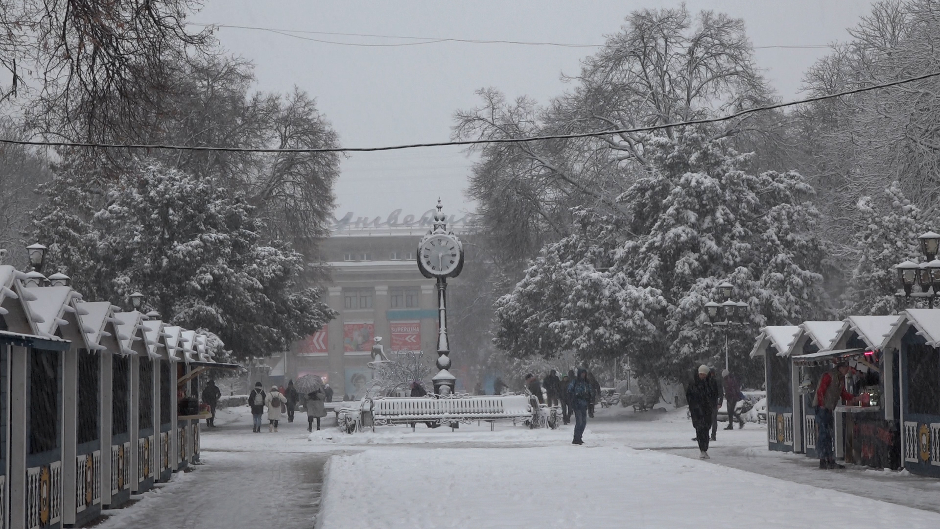 Сніг чи дощ: про погоду на Тернопільщині цього тижня