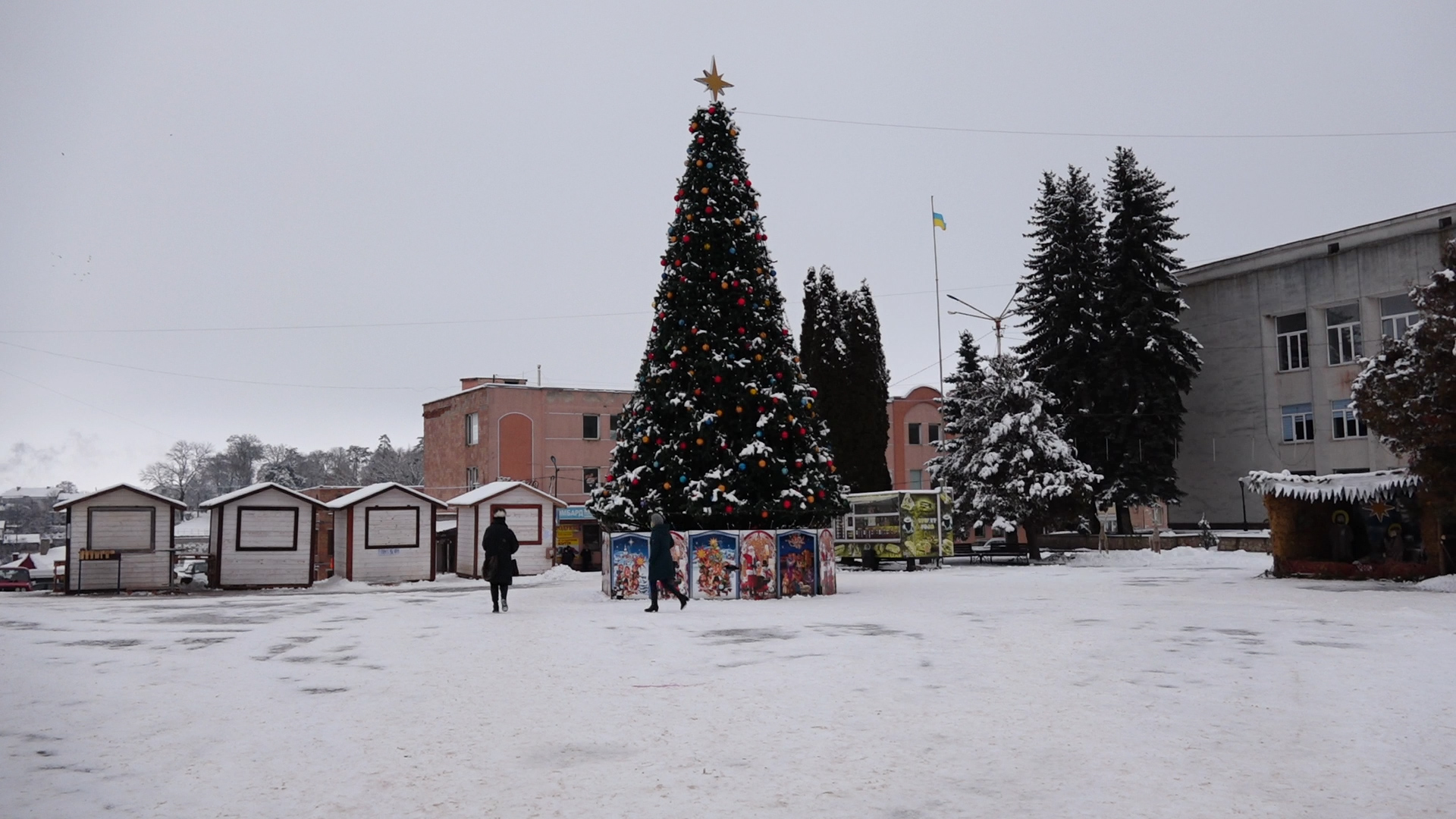 Українці визнали ялинку у Збаражі на Тернопільщині найкрасивішою на Галичині