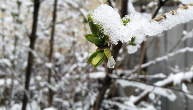 Дощі з мокрим снігом прогнозують на Тернопільщині