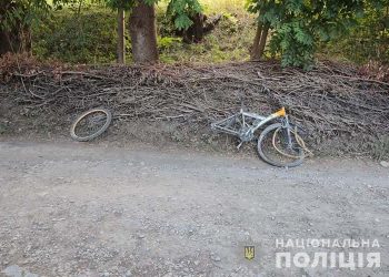 Збив велосипедиста і втік: на Чортківщині затримали винуватця ДТП