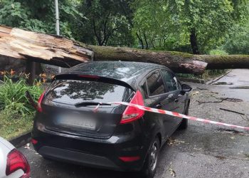 Пливли автівки та падали дерева: Тернопіль оговтується після сильної зливи
