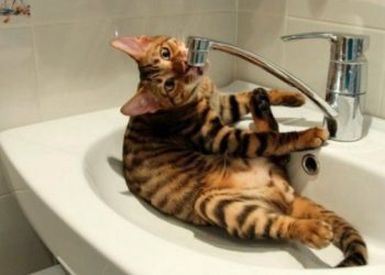 Через ремонтні роботи 5 липня припинять водопостачання до кількох будинків у Тернополі