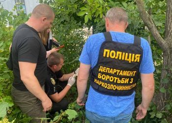 Чоловікам, які замовляли наркотики через Інтернет, загрожує по три роки тюрми