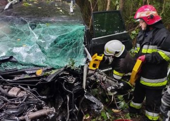 Водій автівки врізався в дерево та загинув на Чортківщині