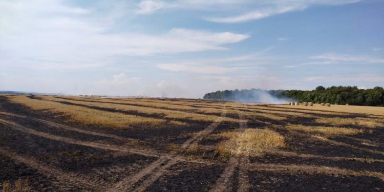 Пожежу на полі ліквідували на Чортківщині