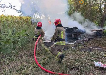 Вулики з бджолами згоріли на Підгаєччині