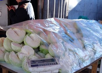 Сезон квашеної капусти: скільки доведеться заплатити за овоч