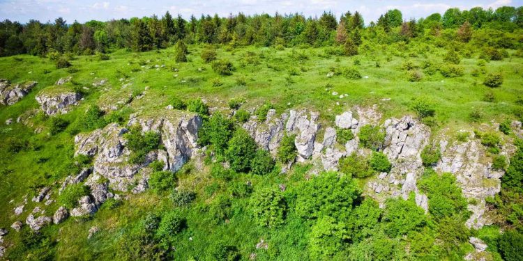 Землі заповідника “Медобори” вимагає повернути державі прокуратура