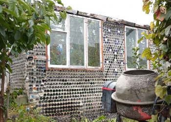 Теплиця із пляшок: помідори різних сортів вирощує кременчанин у парнику