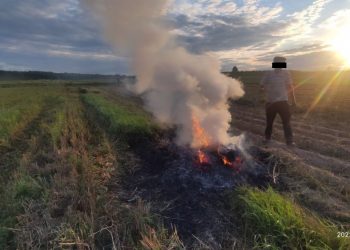 Спалювали сухостій: муніципали виявили 8 порушень у Тернопільській громаді