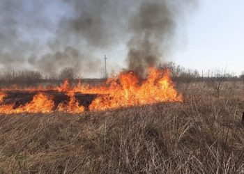 Спалюючи суху траву, загинула 79-річна жінка на Тернопільщині