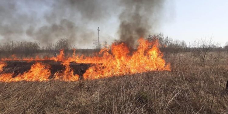 Спалюючи суху траву, загинула 79-річна жінка на Тернопільщині