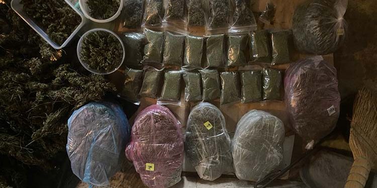 10 кілограмів канабісу виявили вдома у жителя Тернопільщини правоохоронці