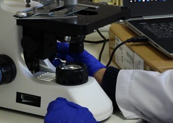 Як тернополянам вберегтися від хвороб, які переносять кліщі