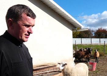 Священник має на господарстві овець різних порід у селі Грабовець