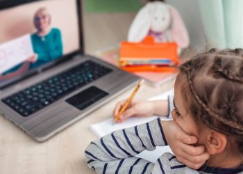 Як проводити уроки під час перебоїв з електрикою пояснили у Тернопільській ОВА