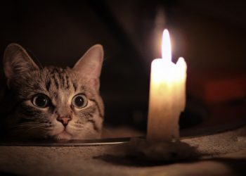 Опублікували оновлений графік вимкнення електроенергії