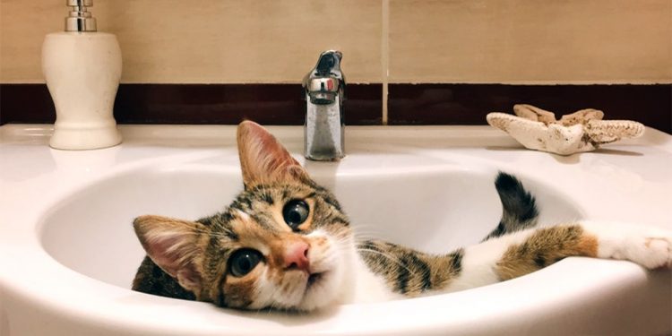 Два дні будуть без водопостачання жителі деяких вулиць Тернополя