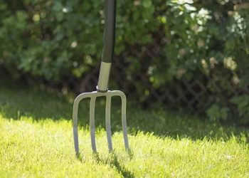 Чоловік встромив вила у шию сусідові у Теребовлянській громаді