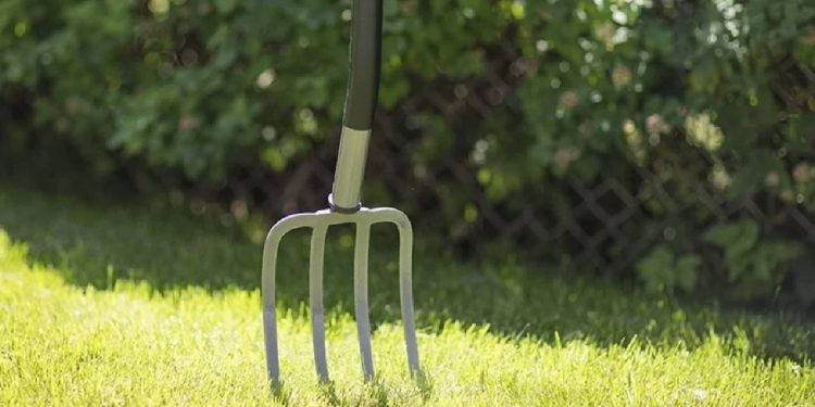 Чоловік встромив вила у шию сусідові у Теребовлянській громаді