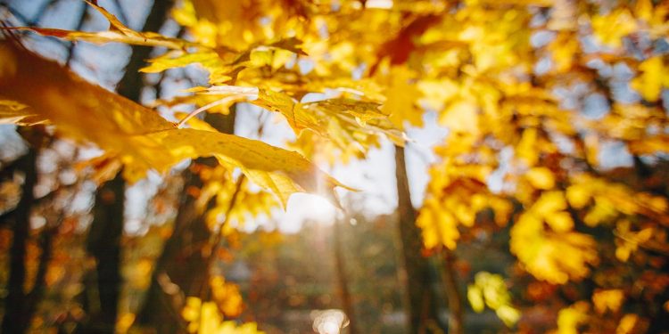 Прогноз погоди на кінець тижня оприлюднила синоптикиня