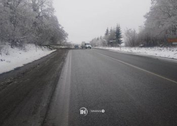 Дерево впало на автодорогу неподалік Тернополя