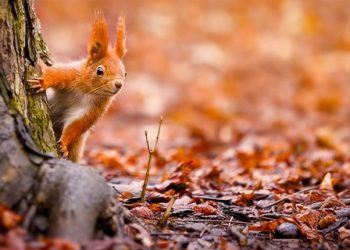 Стало відомо, якою буде погода на Тернопільщині до кінця тижня