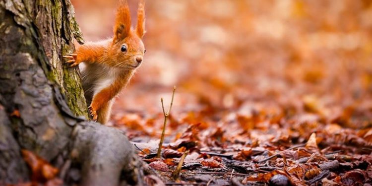 Стало відомо, якою буде погода на Тернопільщині до кінця тижня