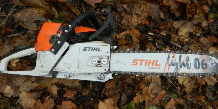 Більше сорока дерев незаконно зрубав чоловік на Бучаччині