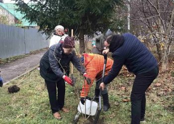 Калинову алею у пам’ять про полеглих героїв заклали у Шумську