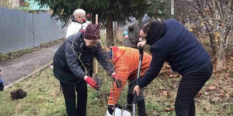 Калинову алею у пам’ять про полеглих героїв заклали у Шумську