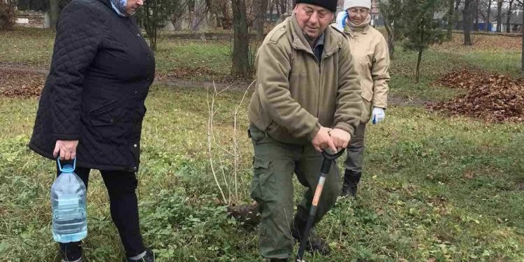 Калинову алею у пам’ять про полеглих героїв заклали у Шумську