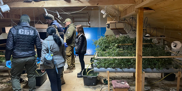 Плантацію наркотиків облаштував у заміському будинку житель Тернопільщини