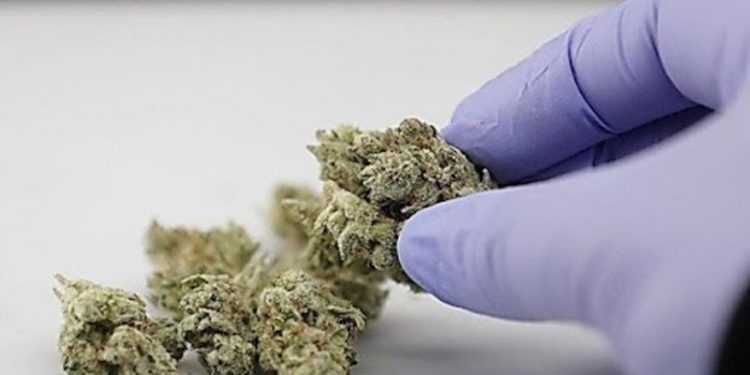 Наркотики вилучили правоохоронці у 22-річного жителя Борщева