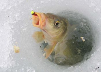 Відсьогодні рибалити на зимувальних ямах заборонено