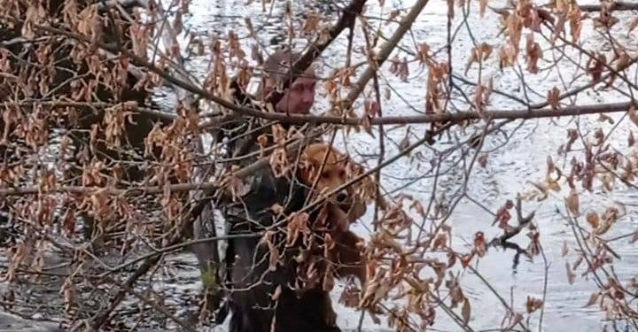 Собаці, який майже тиждень не міг вийти на сушу, допомогли тернопільські рятувальники