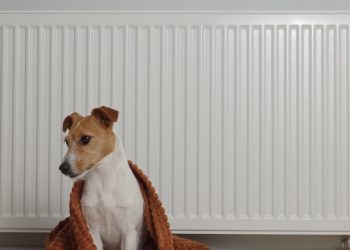 Чи є ризик захворіти при +16° і що робити, аби не мерзнути