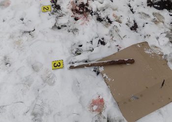 Чоловік убив матір, а тоді вкоротив собі віку у Скалатській громаді