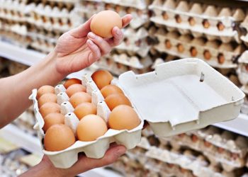 Про стабілізацію цін на яйця домовилися урядовці з виробниками