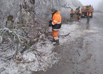 Сильний вітер валить дерева на дороги в Тернопільській області
