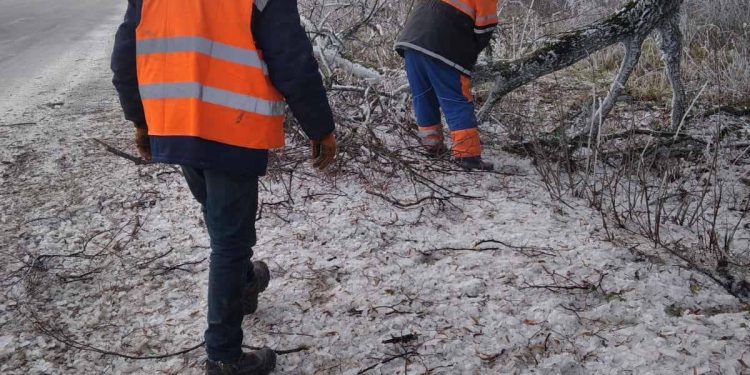 Сильний вітер валить дерева на дороги в Тернопільській області