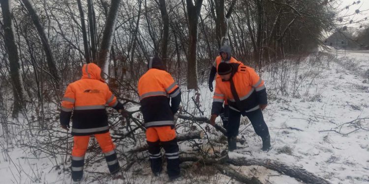 Сильний вітер валить дерева на дороги в Тернопільській області