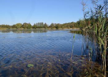 Громада отримала у власність гідротехнічну споруду вартістю більше 800 тисяч на Тернопільщині