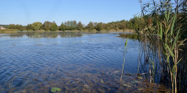 Громада отримала у власність гідротехнічну споруду вартістю більше 800 тисяч на Тернопільщині