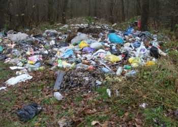 Схему санітарного очищення громади розроблять у Білецькій сільській раді