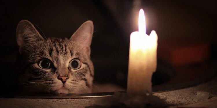 Є графік вимкнення світла з 5 по 11 грудня на Тернопільщині