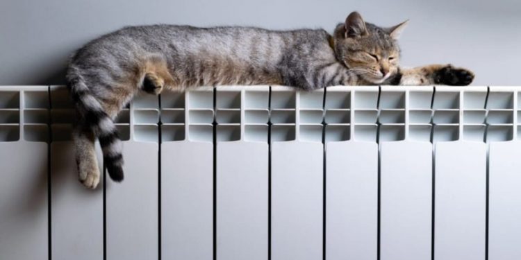 Оплату за тепло і гарячу воду за листопад перерахують тернополянам